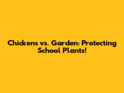 Chickens vs. Garden: Protecting School Plants!