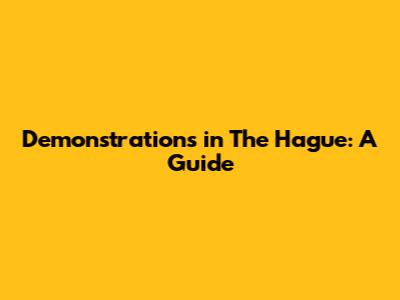 Demonstrations in The Hague: A Guide