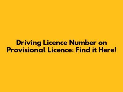 Driving Licence Number on Provisional Licence: Find it Here!