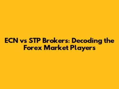 ECN vs STP Brokers: Decoding the Forex Market Players