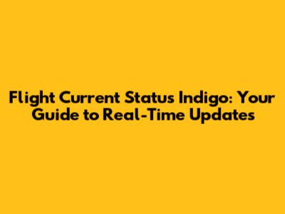 Flight Current Status Indigo: Your Guide to Real-Time Updates
