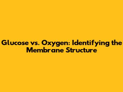 Glucose vs. Oxygen: Identifying the Membrane Structure