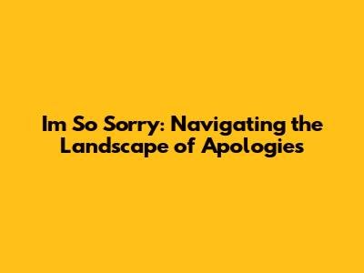 I'm So Sorry: Navigating the Landscape of Apologies