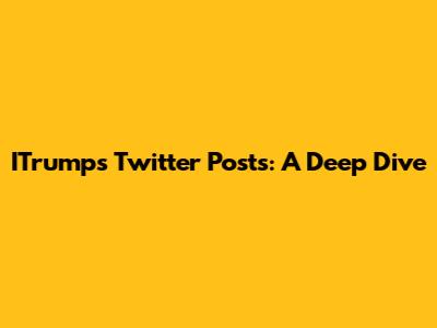 ITrump's Twitter Posts: A Deep Dive