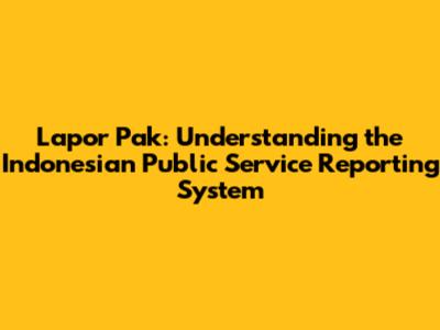 Lapor Pak: Understanding the Indonesian Public Service Reporting System