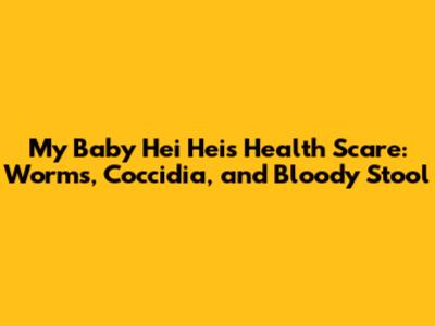 My Baby Hei Hei's Health Scare: Worms, Coccidia, and Bloody Stool