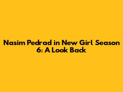 Nasim Pedrad in New Girl Season 6: A Look Back