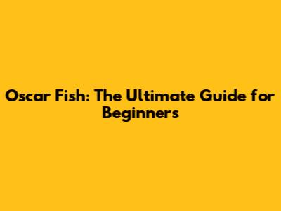 Oscar Fish: The Ultimate Guide for Beginners