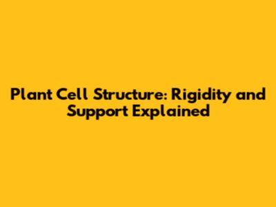 Plant Cell Structure: Rigidity and Support Explained