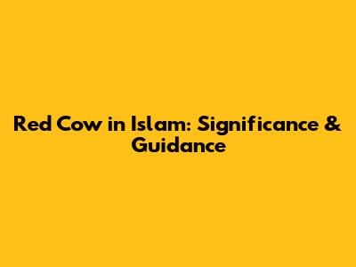 Red Cow in Islam: Significance & Guidance