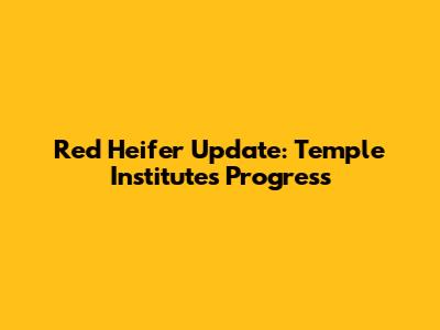 Red Heifer Update: Temple Institute's Progress