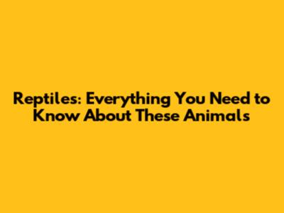 Reptiles: Everything You Need to Know About These Animals