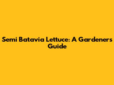 Semi Batavia Lettuce: A Gardener's Guide