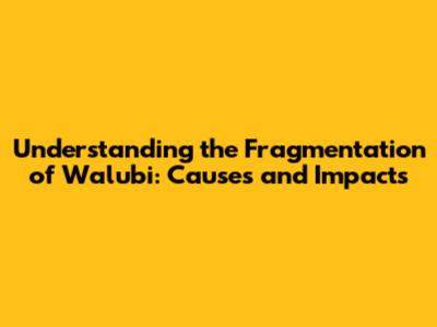 Understanding the Fragmentation of Walubi: Causes and Impacts