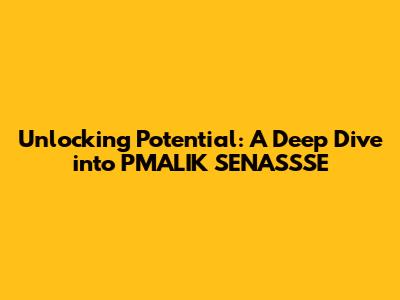 Unlocking Potential: A Deep Dive into PMALIK SENASSSE