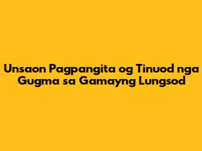 Unsaon Pagpangita og Tinuod nga Gugma sa Gamayng Lungsod