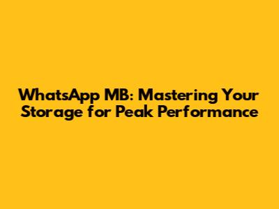 WhatsApp MB: Mastering Your Storage for Peak Performance